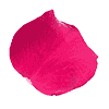 icon-petal-leaf icon-petal-leaf
